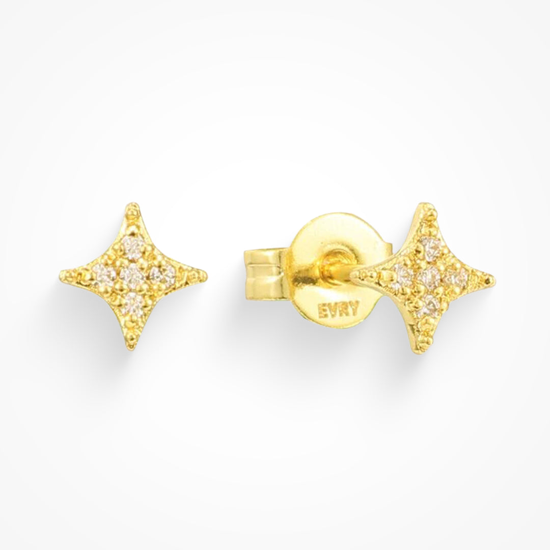 Elegante Oorbellen met Subtiele Glans